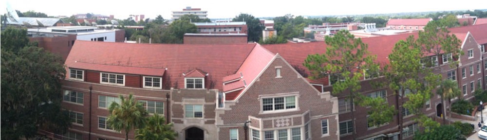 Strategies for Successful Teaching