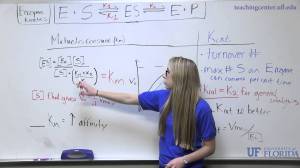 peer tutor video - UF Teaching Center